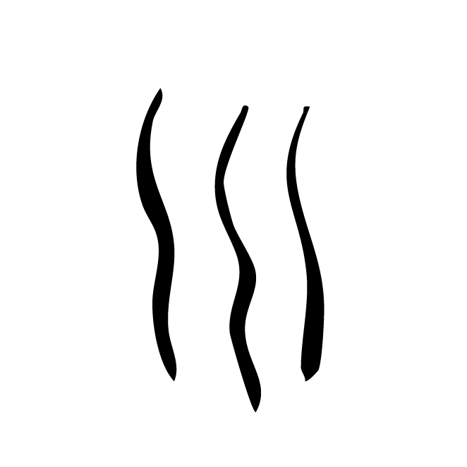 丁再献的骨刻文