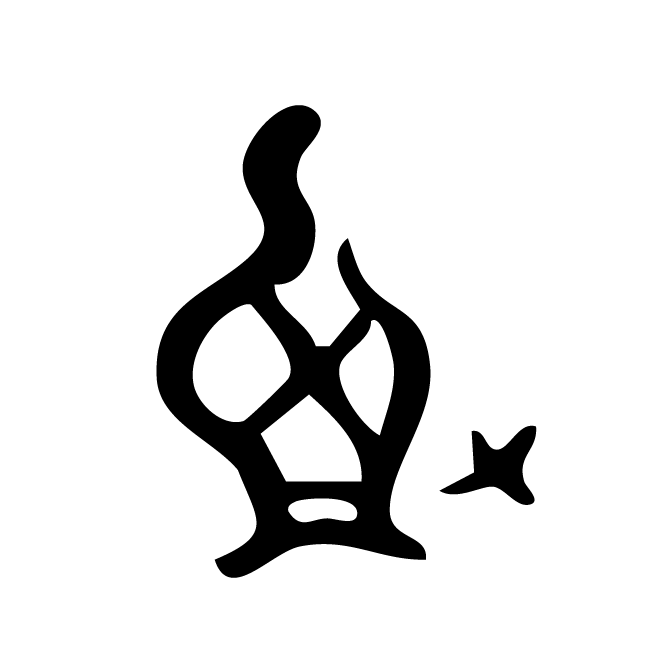丁再献的骨刻文