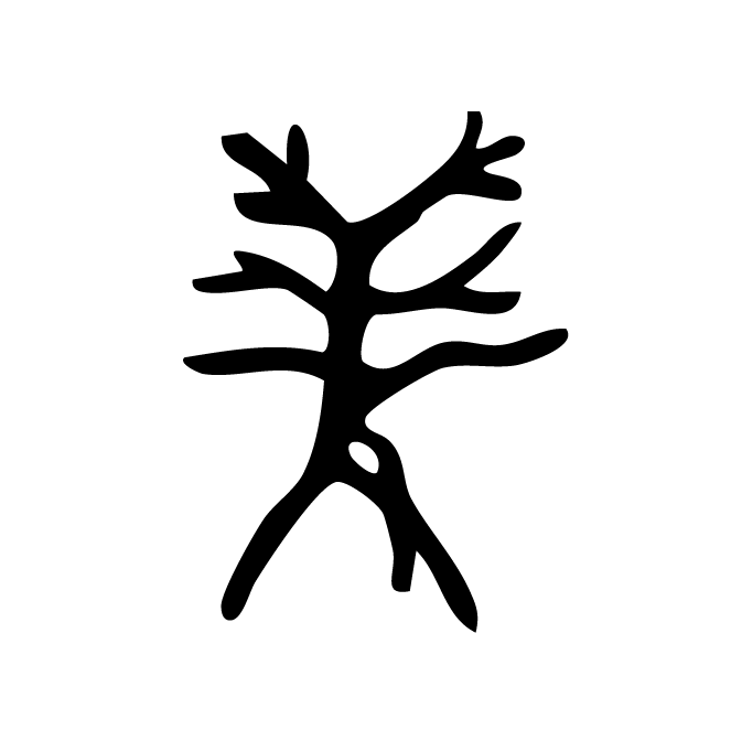 丁再献的骨刻文