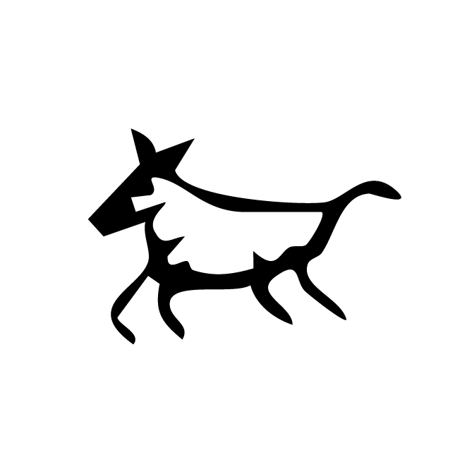 丁再献的骨刻文